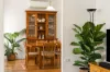 17 Stevenson Avenue, Mayfield West, NSW 2304-Image