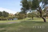 17 Sunny Drive, Singleton, WA 6175-Image