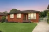 17 Tabooba Street, Constitution Hill, NSW 2145-Image