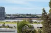 17 Taylor Street, Balmoral QLD 4171-Image