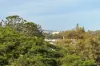 17 Taylor Street, Balmoral QLD 4171-Image