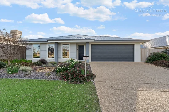 17 Thane Court, Lloyd, NSW 2650