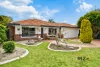 17 Turquoise Loop, Banksia Grove, WA 6031-Image