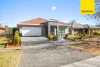 17 Wallaman Street, Harrison ACT 2914-Image
