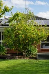 17 Waterford Avenue, Norlane, Vic 3214-Image