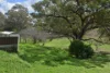 17 Watt Street, Binnaway NSW 2395-Image