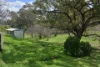 17 Watt Street, Binnaway NSW 2395-Image