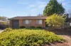 17 Wheadon Street, Monash, ACT 2904-Image