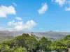 17 Wilguy Crescent, Buderim QLD 4556-Image