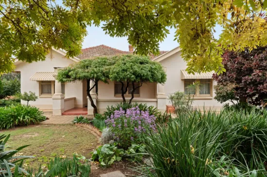 17 William Road, Klemzig, SA 5087