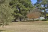 17 Woodleigh Drive, Murrumbateman, NSW 2582-Image
