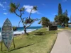17 Yoomba Crescent, Alexandra Headland, Qld 4572-Image