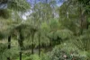 17 York Street, Warburton, Vic 3799-Image