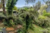 17 York Street, Warburton, Vic 3799-Image