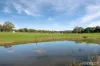170 Diggings Road, Willowmavin, Vic 3764-Image