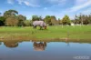 170 Diggings Road, Willowmavin, Vic 3764-Image