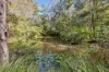 170 Gallaghers Lane, Ashby Heights, NSW 2463-Image