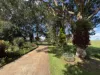 170 Merragallan Road, Malanda, Qld 4885-Image