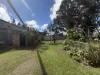 170 Merragallan Road, Malanda, Qld 4885-Image
