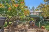 170 Namatjira Drive, Chapman, ACT 2611-Image