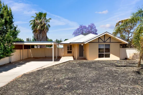 170 Pitman Avenue, Buronga NSW 2739-Image