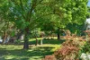 170 Retreat Road, Spring Gully, Vic 3550-Image