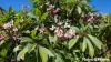 170 Tooth Street, Warwick, Qld 4370-Image