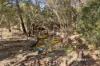 1700 Seaborne Street, Parkerville, WA 6081-Image