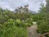 1702 Braidwood Road, Tarago, NSW 2580-Image