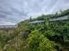 1702 Braidwood Road, Tarago, NSW 2580-Image