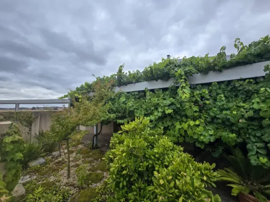 1702 Braidwood Road, Tarago, NSW 2580-Image