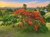 171-181 Worip Dr, Veresdale Scrub, Qld 4285-Image