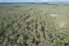 171 Ash Road, Wattle Ridge, Qld 4357-Image