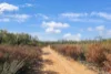 171 Ash Road, Wattle Ridge, Qld 4357-Image