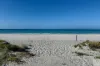 171 Binneys Track, Penneshaw, SA 5222-Image