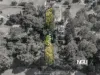 171 Riverside Avenue, Barellan Point, Qld 4306-Image