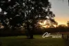 171A Hawken Road, Tomerong, NSW 2540-Image