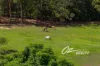171A Hawken Road, Tomerong, NSW 2540-Image