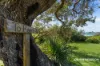 171A Marina Lane, Culburra Beach, NSW 2540-Image