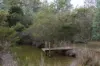 172 Bridgenorth Road, Legana, Tas 7277-Image