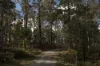 172 Bridgenorth Road, Legana, Tas 7277-Image