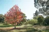 172 Bushby Road, Lower King, WA 6330-Image