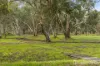 172 Gossage Road, Cardup, WA 6122-Image