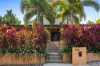 172 Lind Road, Johnston, NT 0832-Image