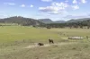 172 Merriworth Road, Tea Tree, Tas 7017-Image