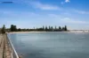 172 Napoleon Street, Sans Souci, NSW 2219-Image