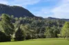 1720C Moss Vale Road, Kangaroo Valley, NSW 2577-Image