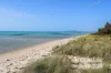 1725 Point Nepean Road, Capel Sound, Vic 3940-Image