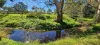 173 Bethany Road, Bethany, SA 5352-Image