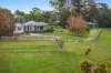 173 Cooroy Mountain Road, Cooroy Mountain, Qld 4563-Image